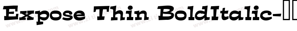 Expose Thin BoldItalic字体转换